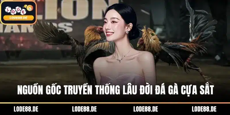 Nguồn gốc truyền thống lâu đời đá gà cựa sắt